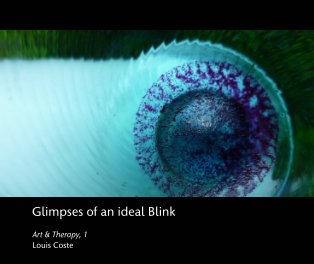 Glimpses of an ideal Blink book cover