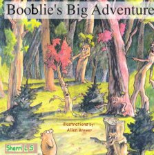Booblie's Big Adventure book cover
