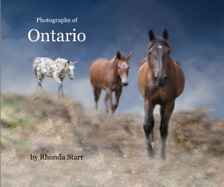 Ontario book cover