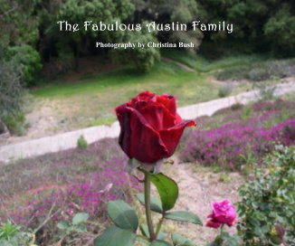 The Fabulous Austin Family book cover
