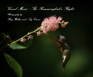 Visual Music ~ The Hummingbird's Flight book cover
