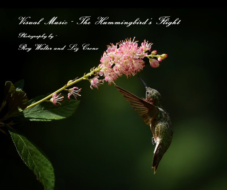 View Visual Music ~ The Hummingbird's Flight by Roy Walter and Liz Crono