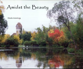 Amidst the Beauty book cover