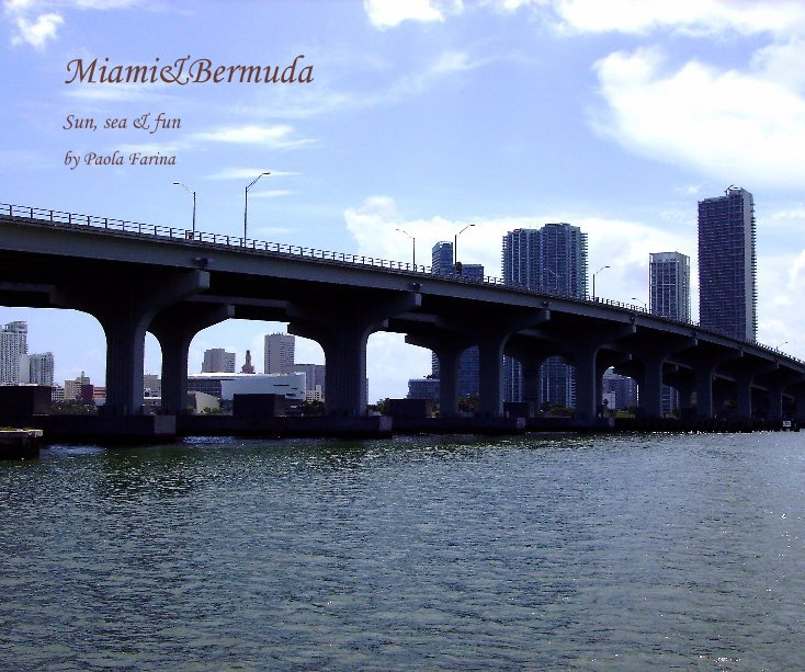 View Miami&Bermuda by Paola Farina