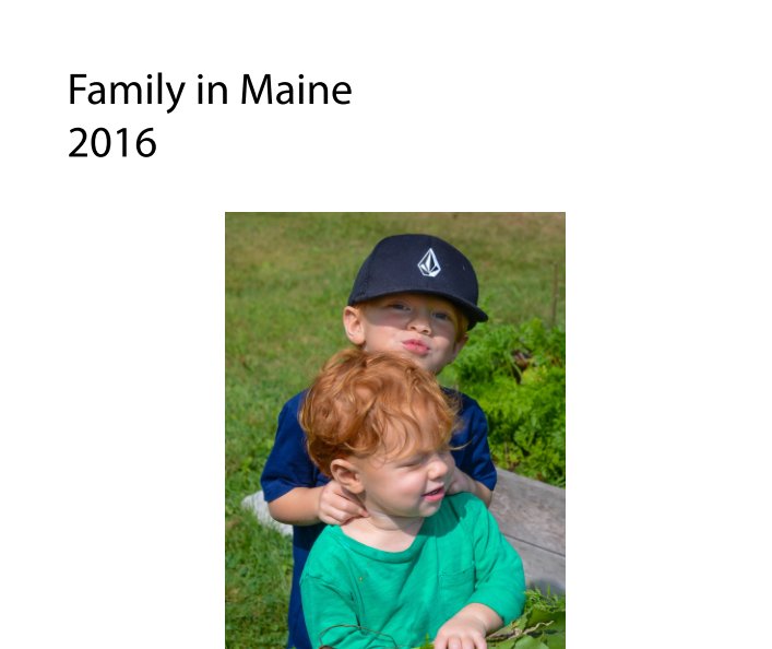 View Family in Maine by Dennis Landis