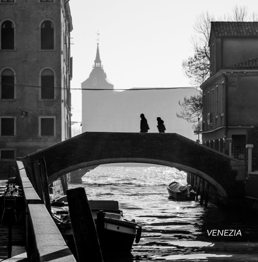 View VENEZIA by Domenico  Cichetti