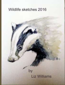 Wildlife sketches 2016 book cover