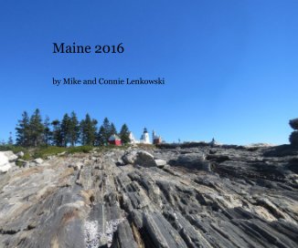 Maine 2016 book cover