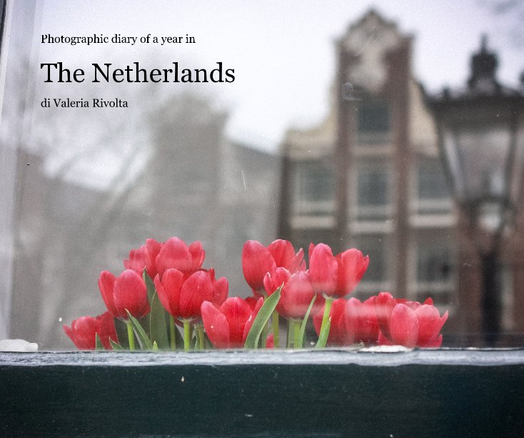Ver The Netherlands por di Valeria Rivolta