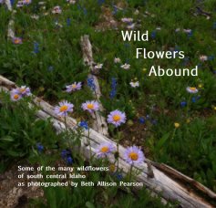 Wild Flowers Abound book cover