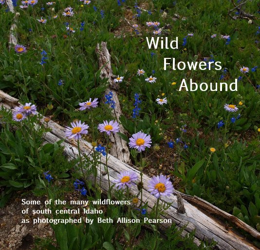 View Wild Flowers Abound by Beth Allison Pearson