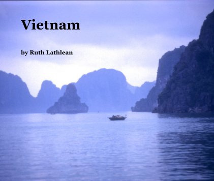 Vietnam book cover