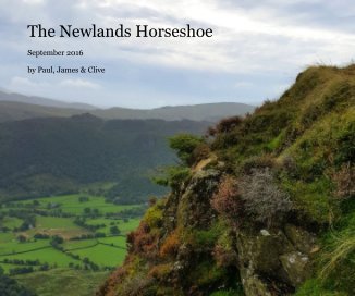 The Newlands Horseshoe book cover