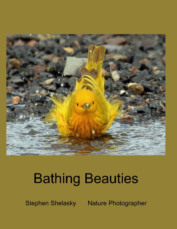 View Bathing Beauties by Steve Shelasky