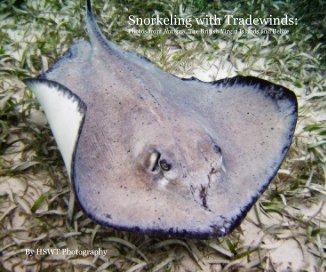 Snorkeling with Tradewinds: Photos from Antigua, The British Virgin Islands and Belize book cover