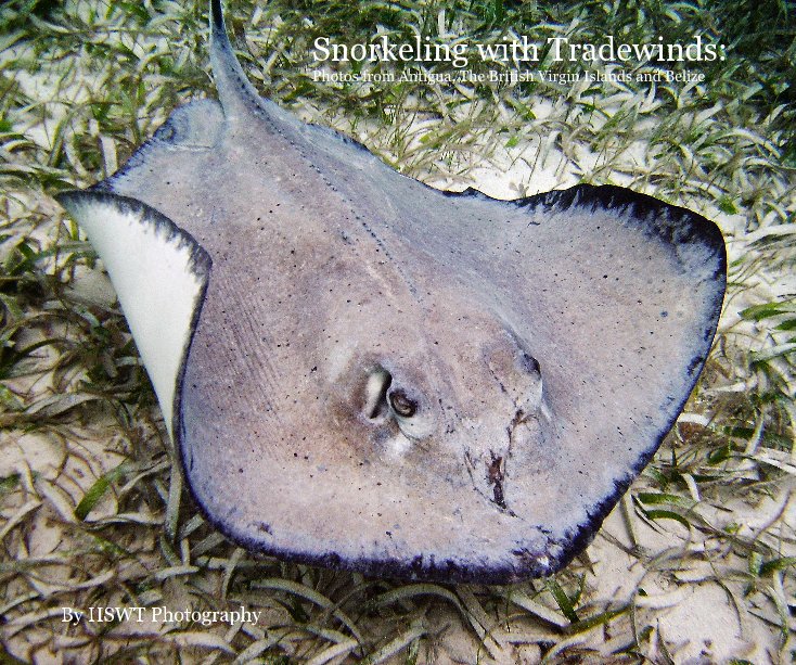 Ver Snorkeling with Tradewinds: Photos from Antigua, The British Virgin Islands and Belize por Lynne Browne and Terry Melius
