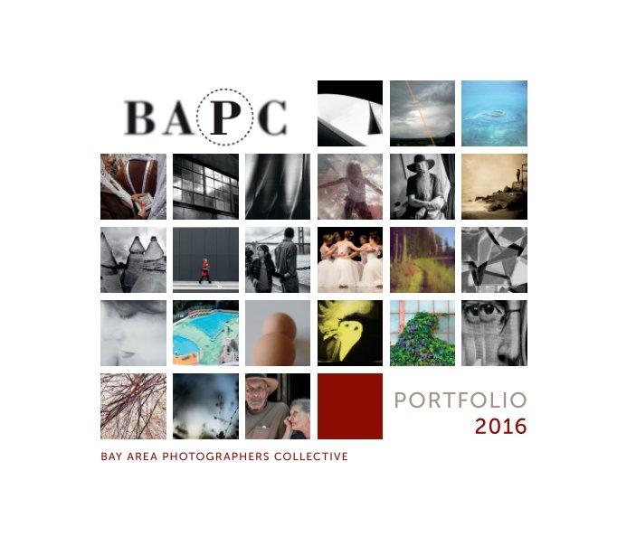 2016 BAPC Member Yearbook • Hardcover nach BAPC Members anzeigen