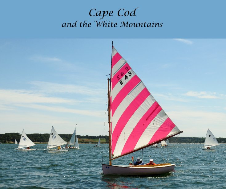 View Cape Cod and the White Mountains by Ada Tumelty