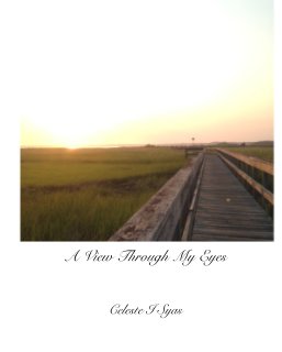 A View Through My Eyes book cover