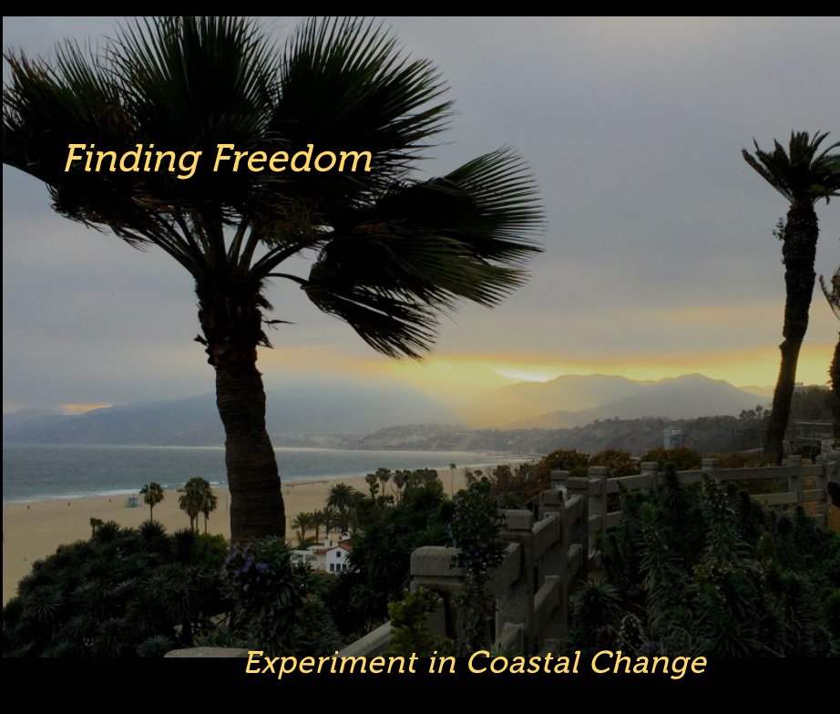 View Finding Freedom by Margaret Dessau