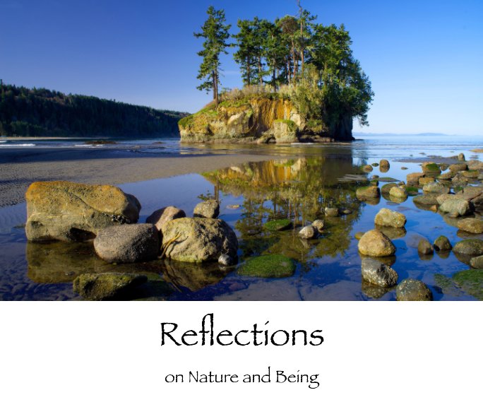 View Reflections by Roland D. Blaich, Bruce C. Johanson