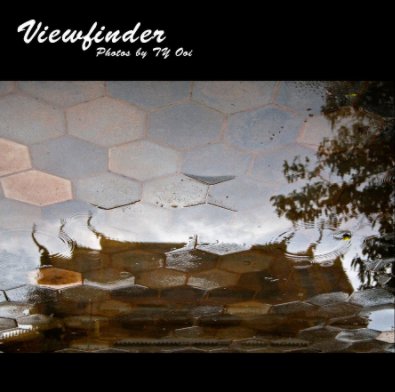 Viewfinder book cover
