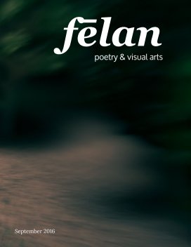 felan - issue 7 Fascination book cover