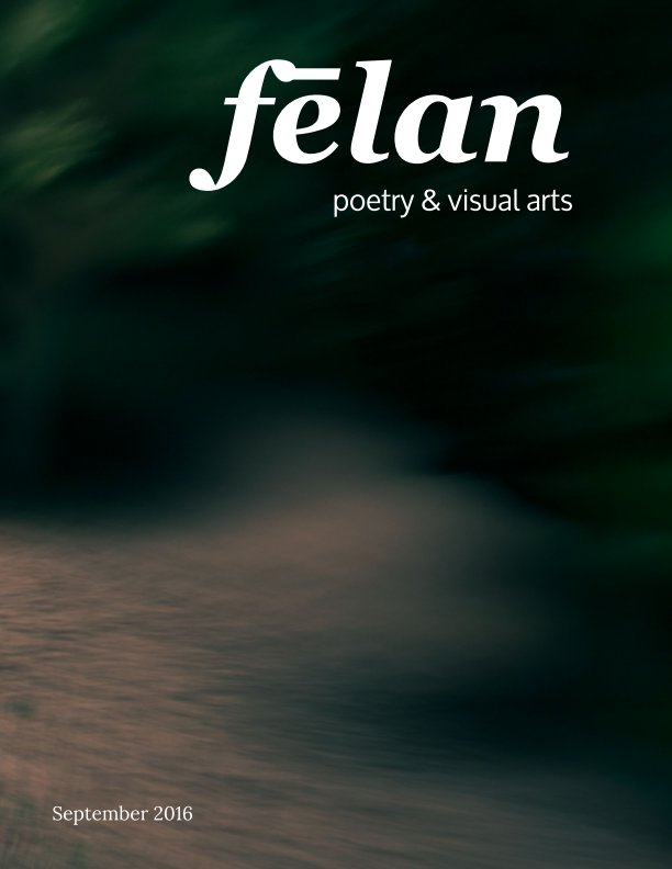 View felan - issue 7 Fascination by Jennifer Nichole Wells