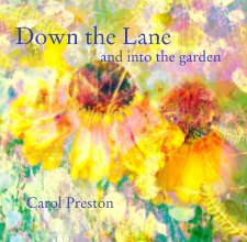 Down the Lane book cover