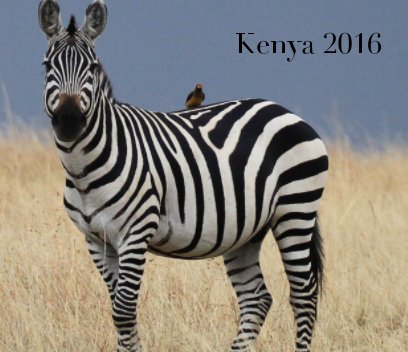 Kenya 2016 book cover