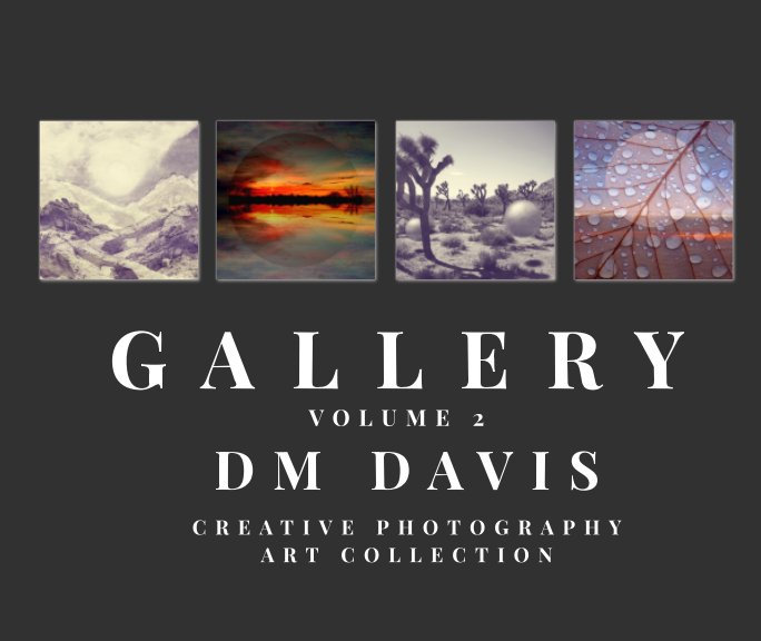 View Gallery Volume 2 by DM Davis