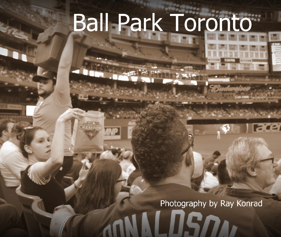 View Ball Park Toronto by Ray Konrad