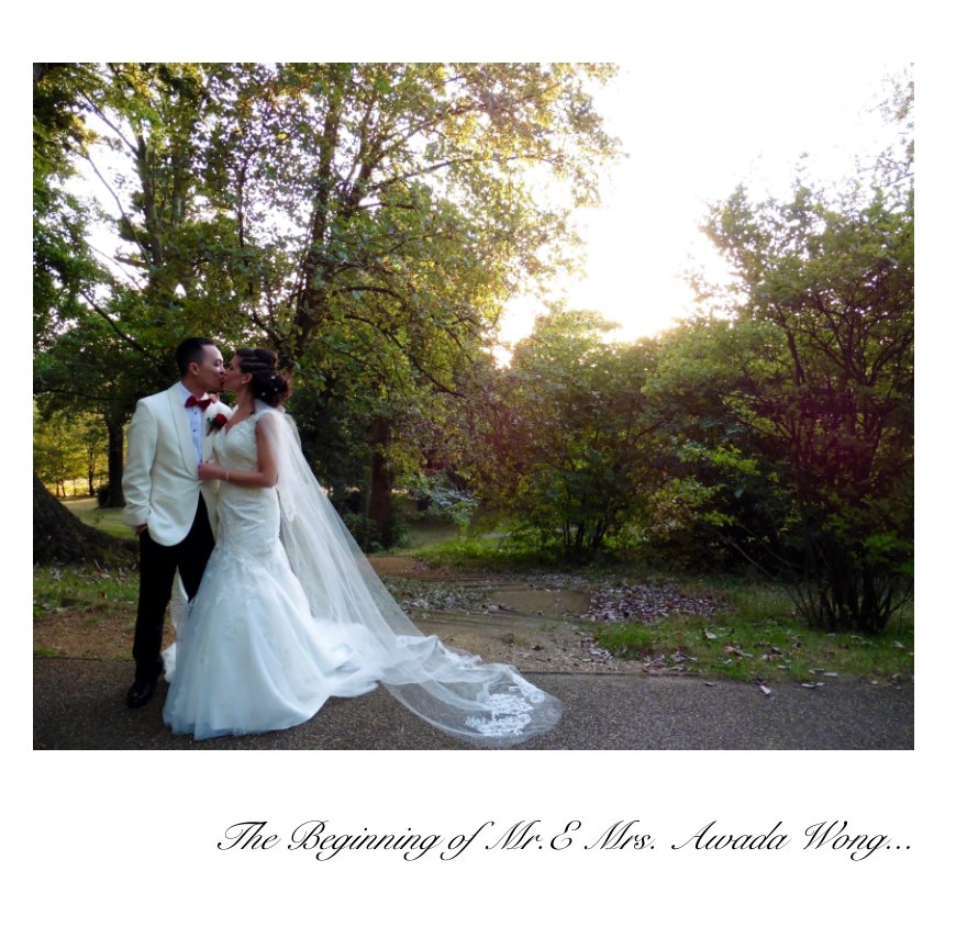 View The Beginning of Mr. and Mrs. Awada Wong... by Cynthia Teng