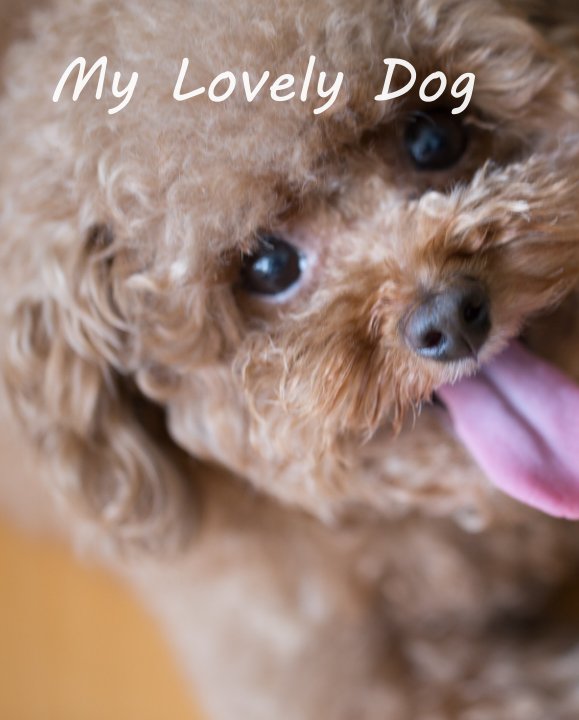 View My Lovely Dog by Douglas Huang