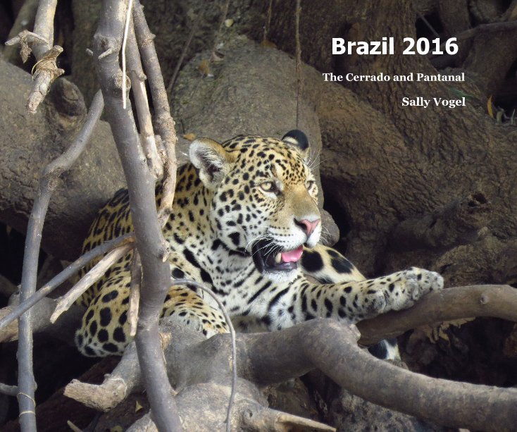 Visualizza Brazil 2016 di Sally Vogel
