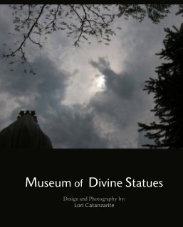 Museum of  Divine Statues book cover
