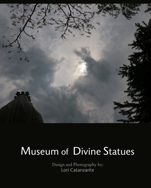 Bekijk Museum of  Divine Statues op Design and Photography by: Lori Catanzarite