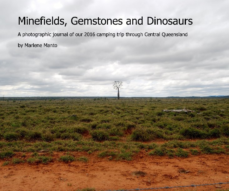 View Minefields, Gemstones and Dinosaurs by Marlene Manto