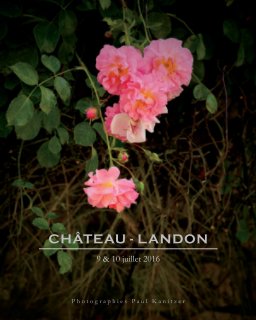 Château-Landon. 2016 book cover