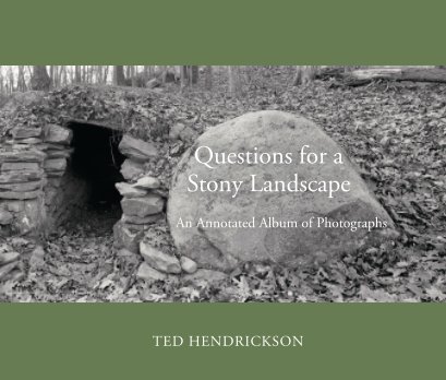Questions for a Stony Landscape book cover