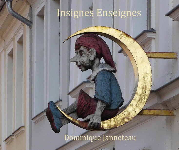 View Insignes Enseignes by Dominique Janneteau