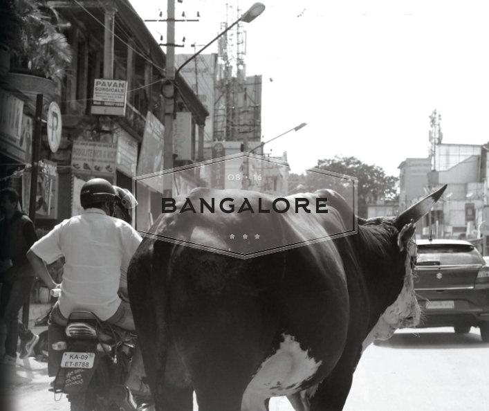 View Bangalore by Picturia Press