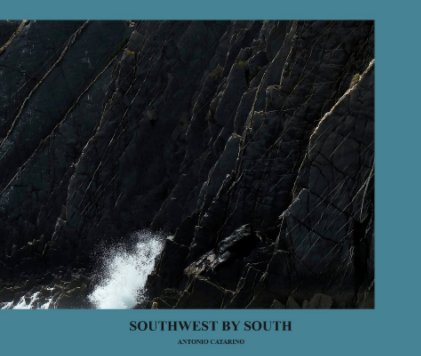 SOUTHWEST BY SOUTH book cover