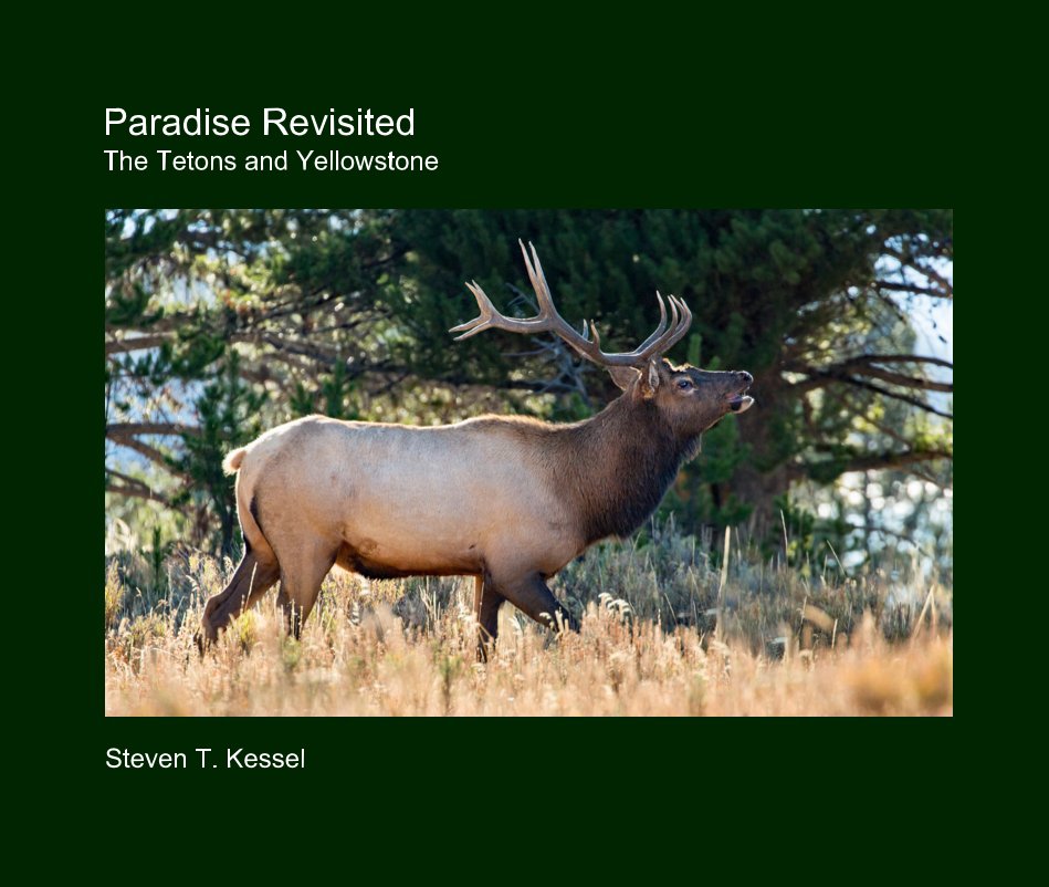 View Paradise Revisited The Tetons and Yellowstone by Steven T. Kessel