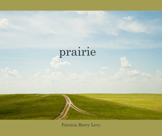 View prairie by Patricia Barry Levy