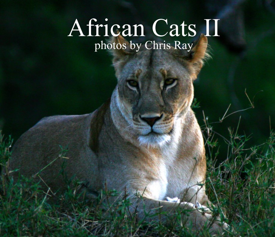 View African Cats II by Chris Ray