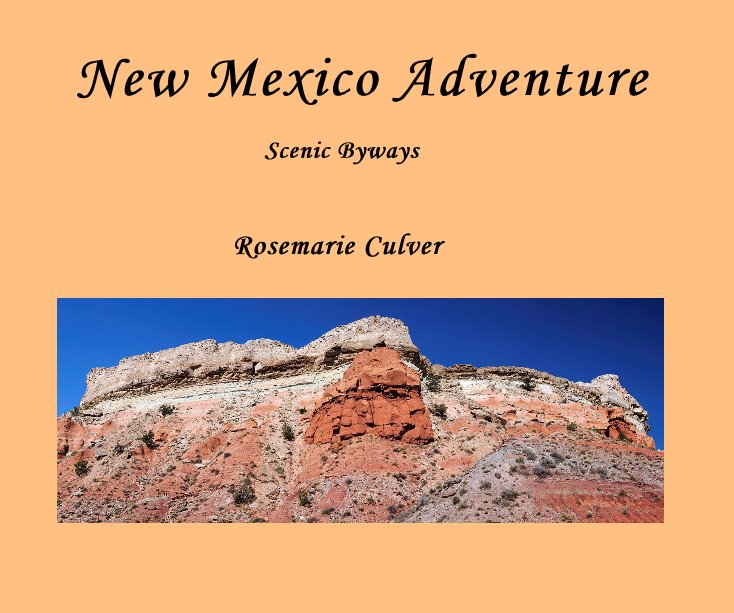 View New Mexico Adventure by Rosemarie Culver