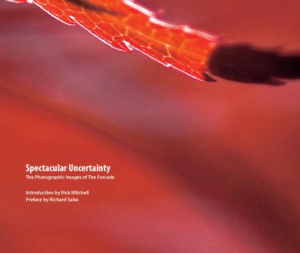 Spectacular Uncertainty book cover