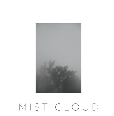 mist cloud book cover