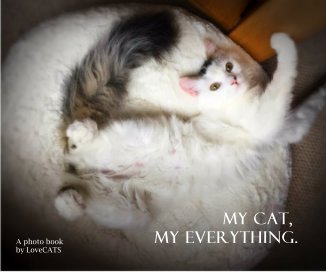 My cat, my everything. (1) book cover